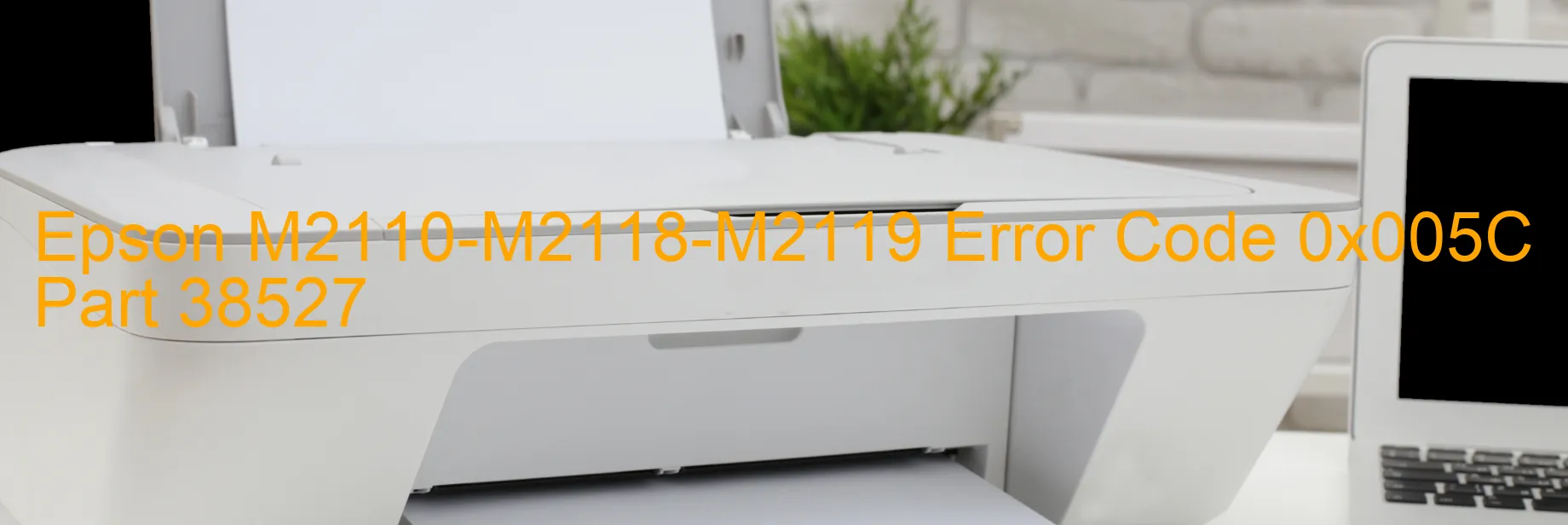 Epson M2110-M2118-M2119 Fehlercode 0x005C