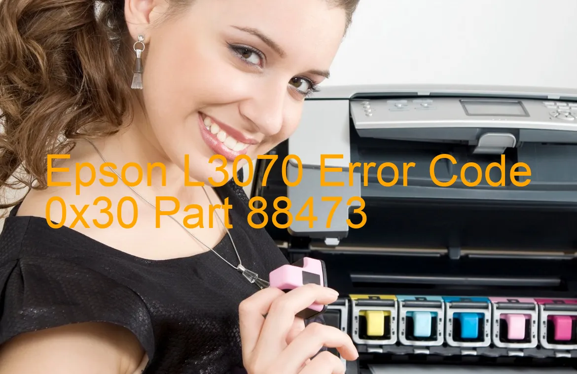 Epson L3070 Fehlercode 0x30