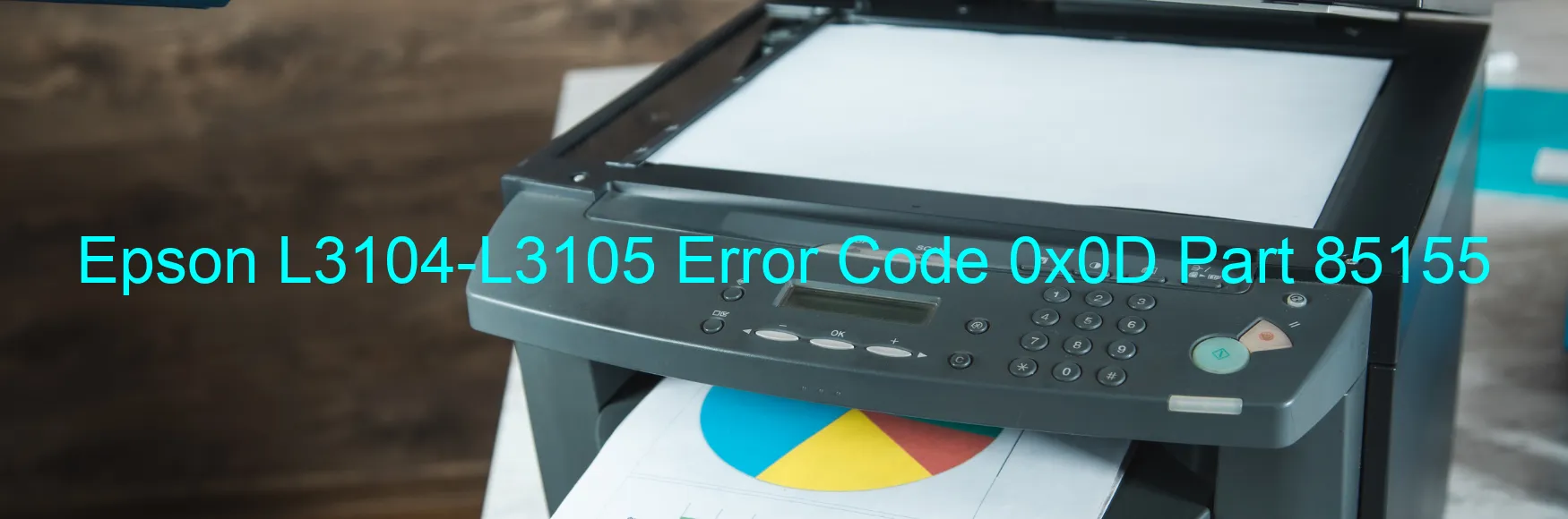 Epson L3104-L3105 Fehlercode 0x0D