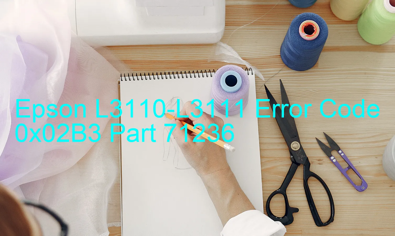 Epson L3110-L3111 Fehlercode 0x02B3