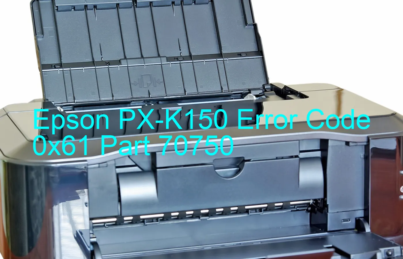 Epson PX-K150 Fehlercode 0x61