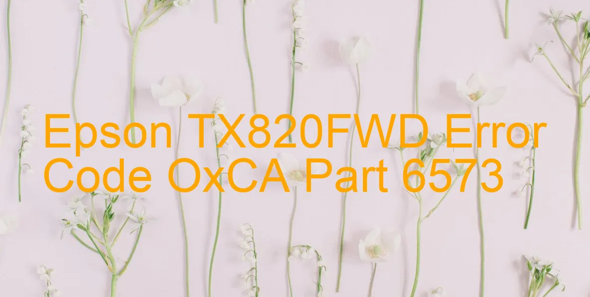 Epson TX820FWD Fehlercode OxCA